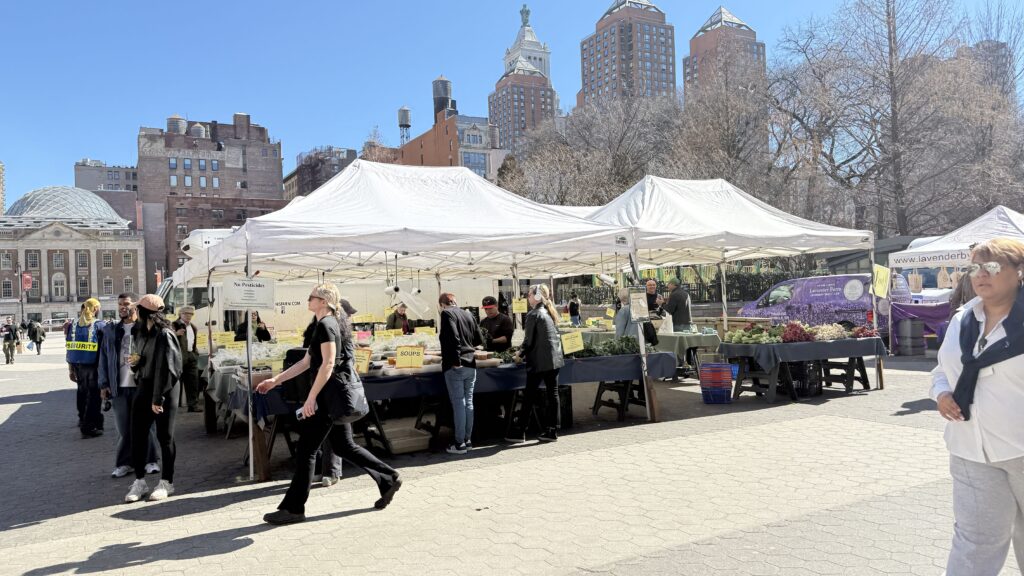 도시의 심장이 흙 내음을 머금다: 유니언 스퀘어 그린마켓이 지킨 50년의 유산