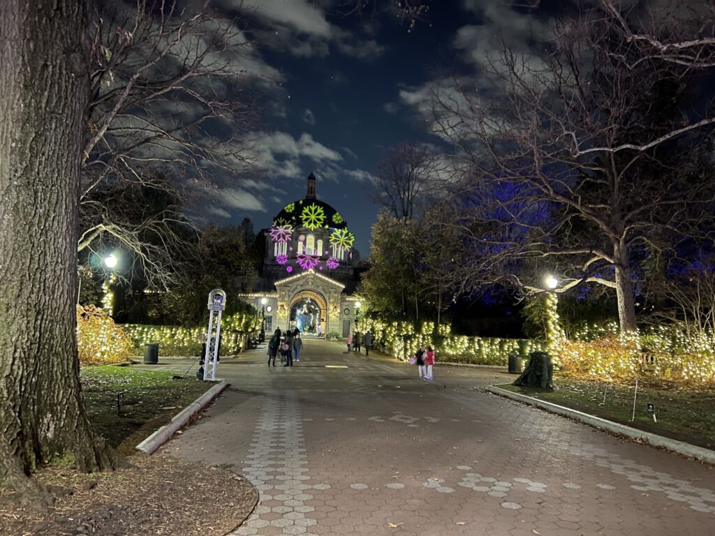 콘크리트 정글 속 깨어나는 원시의 생명력: 브롱스 동물원(Bronx Zoo)의 봄을 거닐다