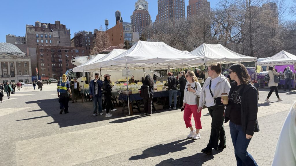 도시의 심장이 흙 내음을 머금다: 유니언 스퀘어 그린마켓이 지킨 50년의 유산