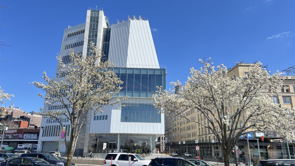 거울 나라의 경계에서: 2026년 예술이 증언하는 제국의 황혼과 기계의 영혼