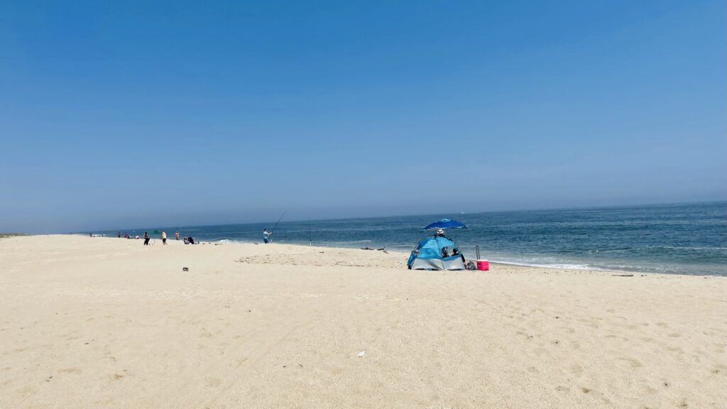 해변의 선율과 거리에 피어난 활력: 6월 뉴저지를 달구는 메가 문화 축제의 향연
